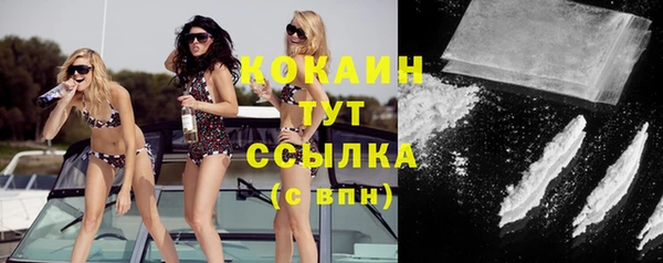 кокс Алексин