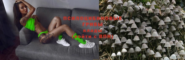 эйфоретик Алзамай
