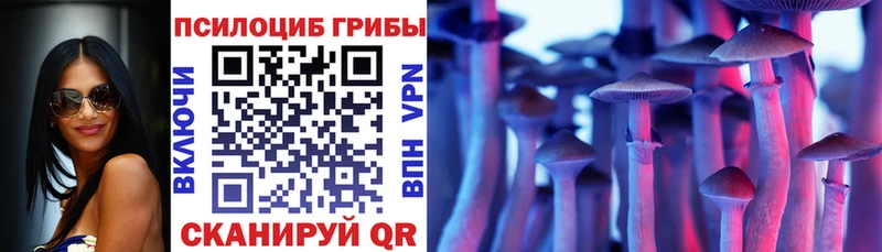 Псилоцибиновые грибы Magic Shrooms  Жуковский 