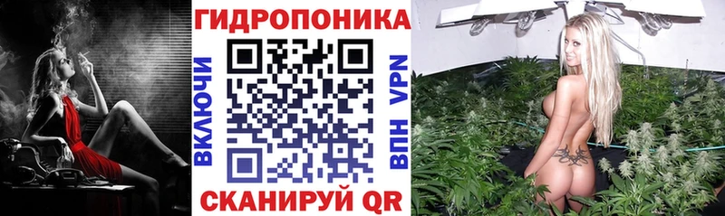 МАРИХУАНА SATIVA & INDICA  omg маркетплейс  Жуковский  сколько стоит 