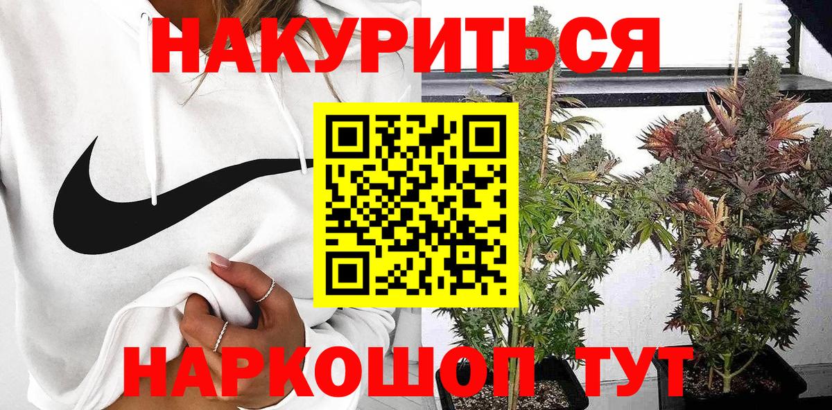 Марихуана марихуана Жуковский